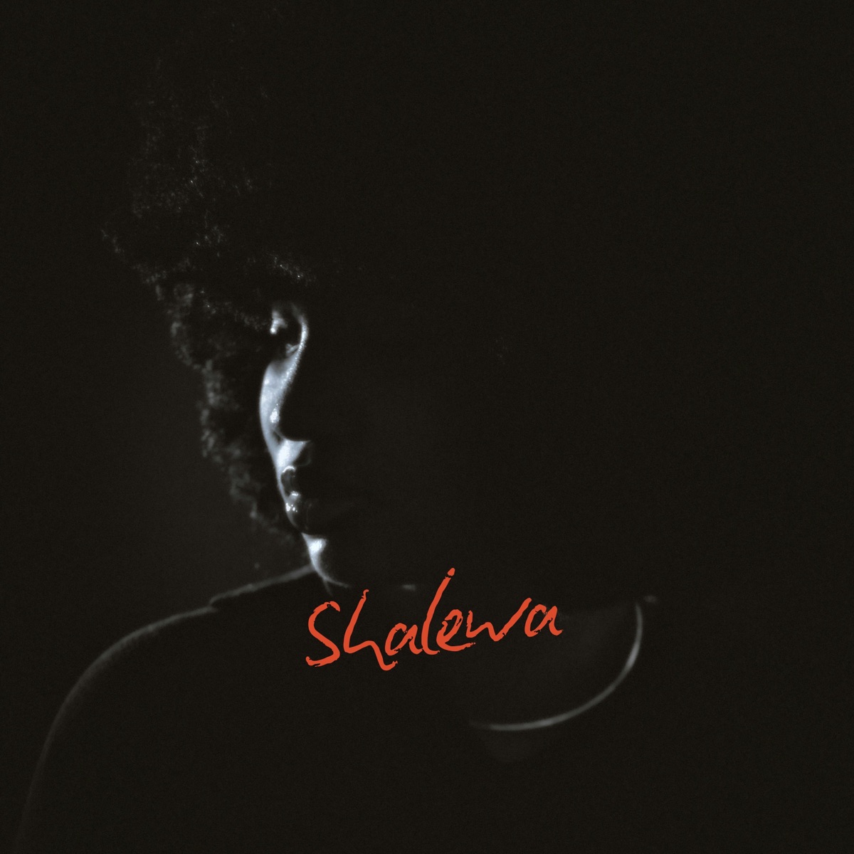 Shalewa - Single by BowlBay, Bee-Z & Corlie album cover