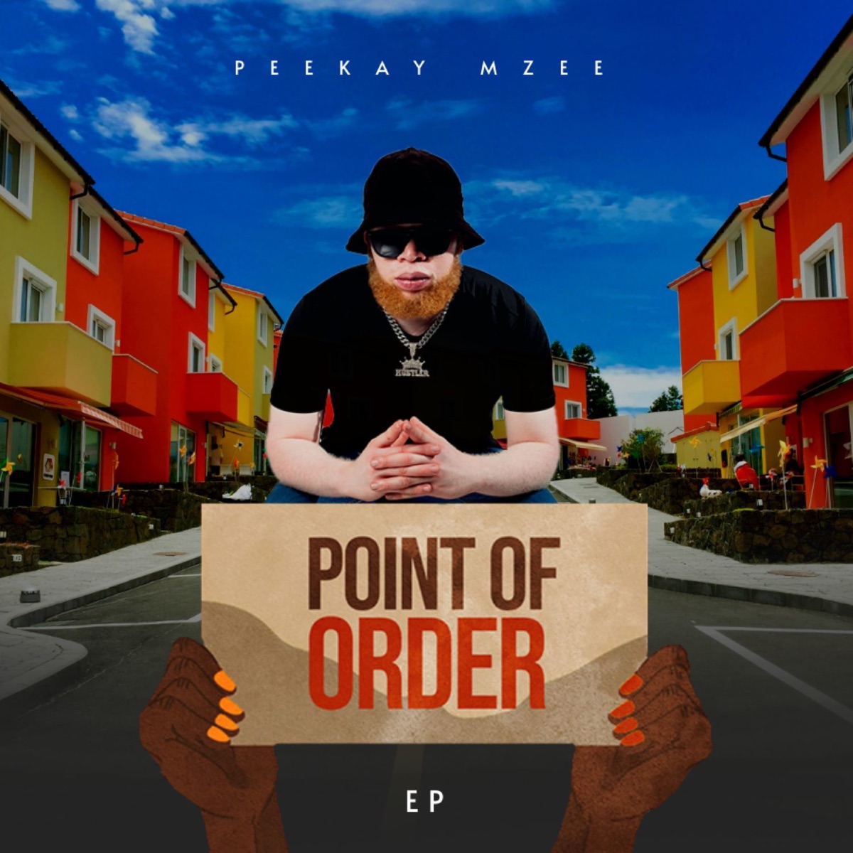 Point Of Order by Peekay Mzee album cover