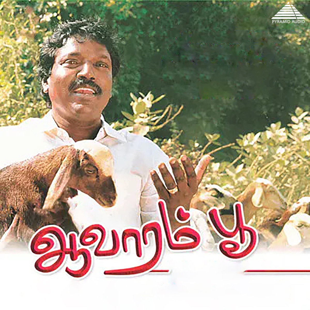 Aavaram Poo (Original Motion Picture Soundtrack) - EP by Gangai Amaran, Pulamaipithan, Tyagaraja & Ilaiyaraaja album cover