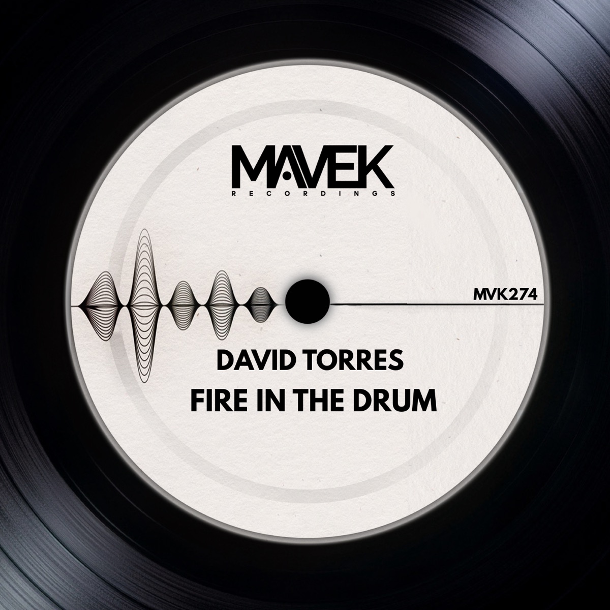 Fire in the Drum - Single by David Torres album cover