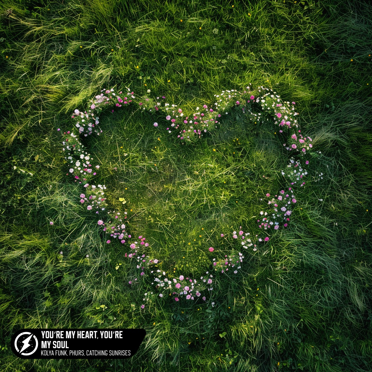You’re My Heart, You’re My Soul - Single by Kolya Funk, PHURS & Catching Sunrises album cover