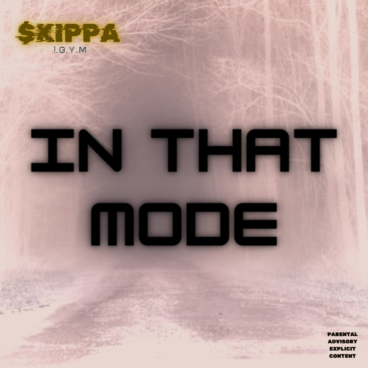 IN THAT MODE (Slowed & Reverb Version) - Single by $kippa !.O.Y.M album cover