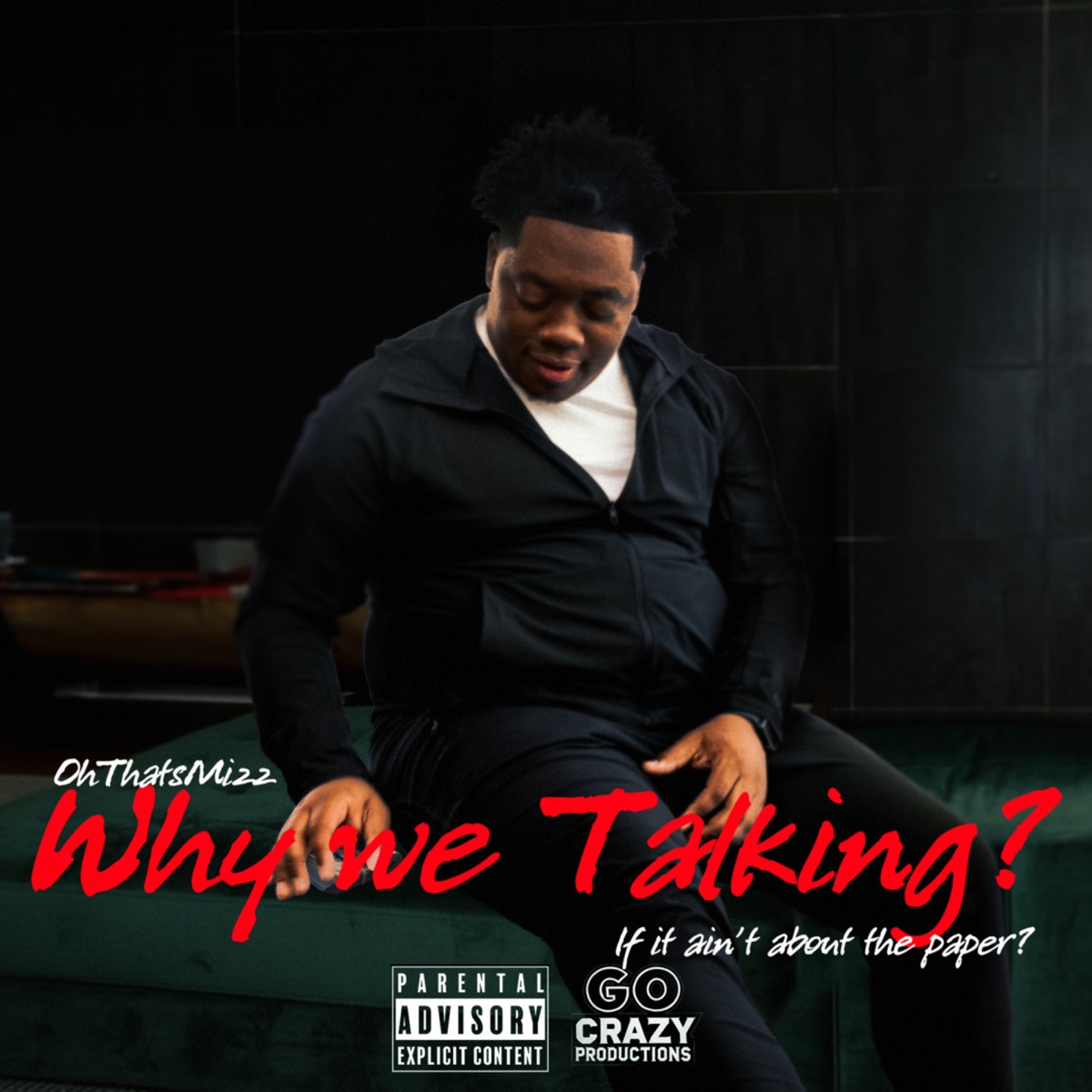 Why We Talking? - Single by Ohthatsmizz album cover