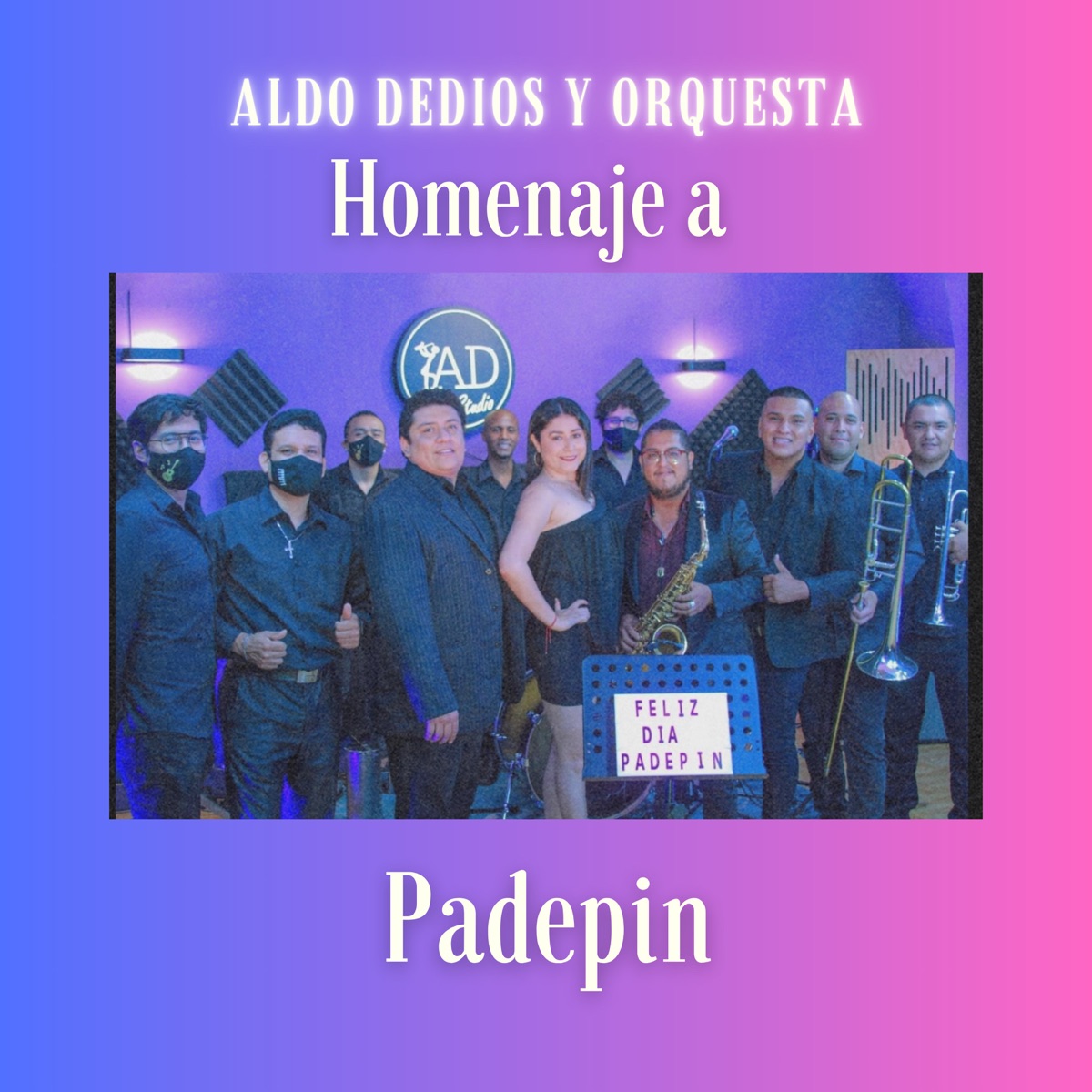 Homenaje a Padepin - Single by Aldo Dediós album cover