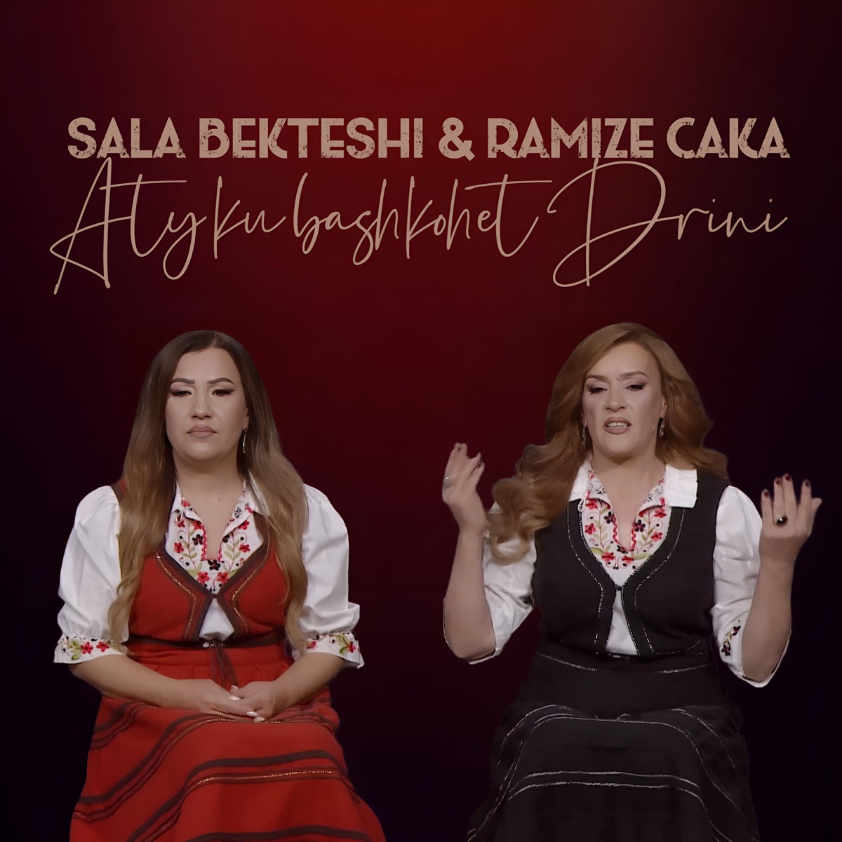 Aty ku bashkohet Drini (feat. Ramize Caka & Sala Bekteshi) - Single by FM Production album cover
