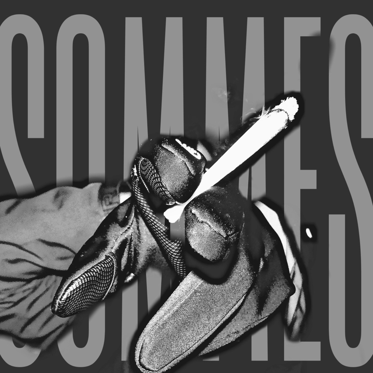 SOMMES (feat. Darko) - Single by IBISCUS album cover