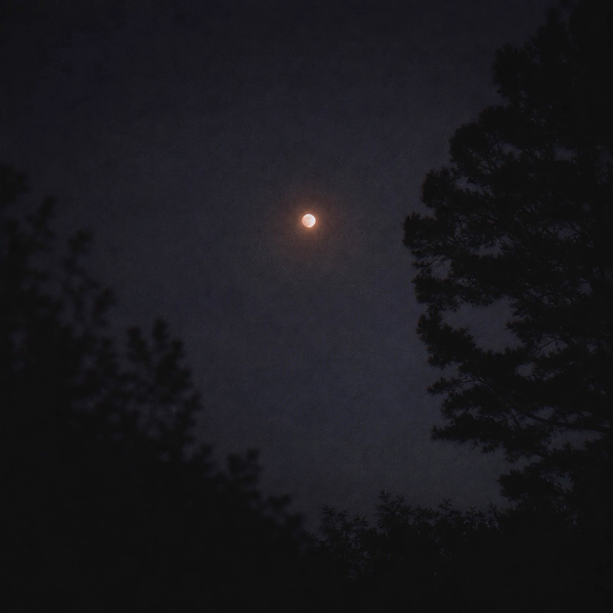 Debut - Single by GLASS album cover