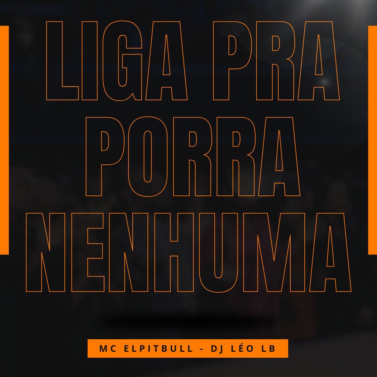 Liga pra Porra Nenhuma - Single by MC Elpitbull & Dj Léo LB album cover