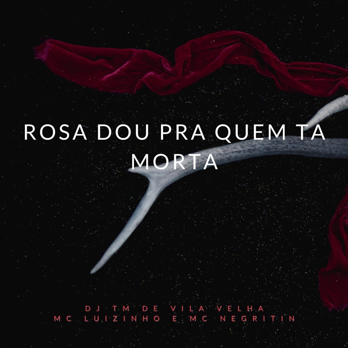 Rosa Dou pra Quem Ta Morta - Single by Dj Tm De Vila Velha, MC Luizinho & Mc Negritin album cover