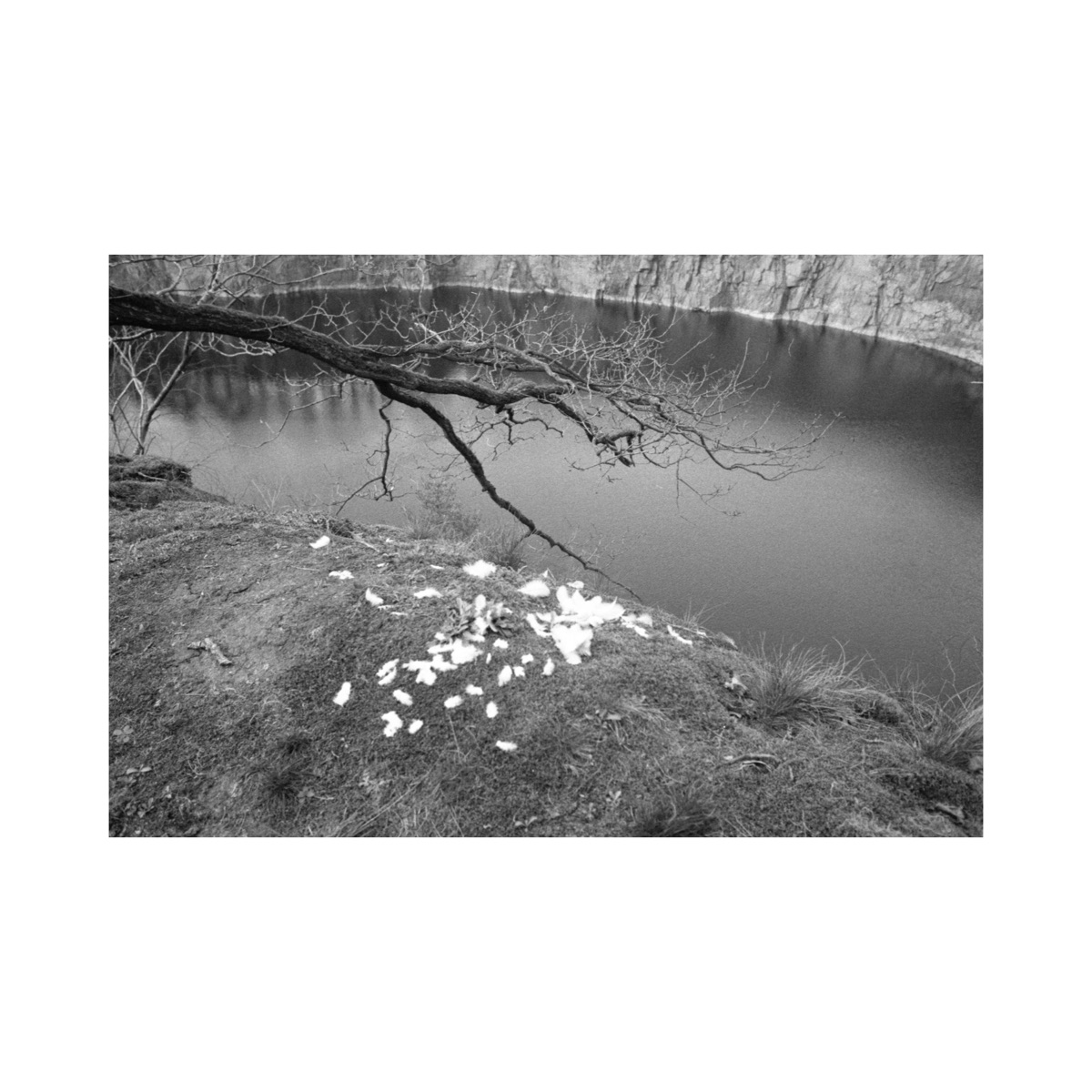 Die Verwandlung - Single by Helmuth, redd. & TAKN album cover