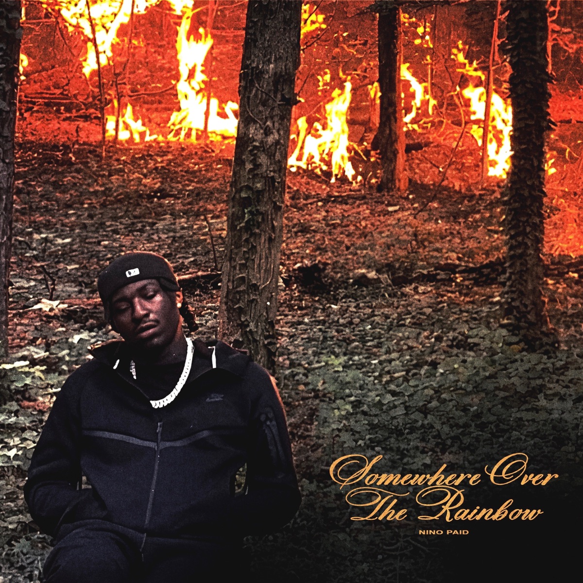 Somewhere Over The Rainbow by Nino Paid album cover artwork