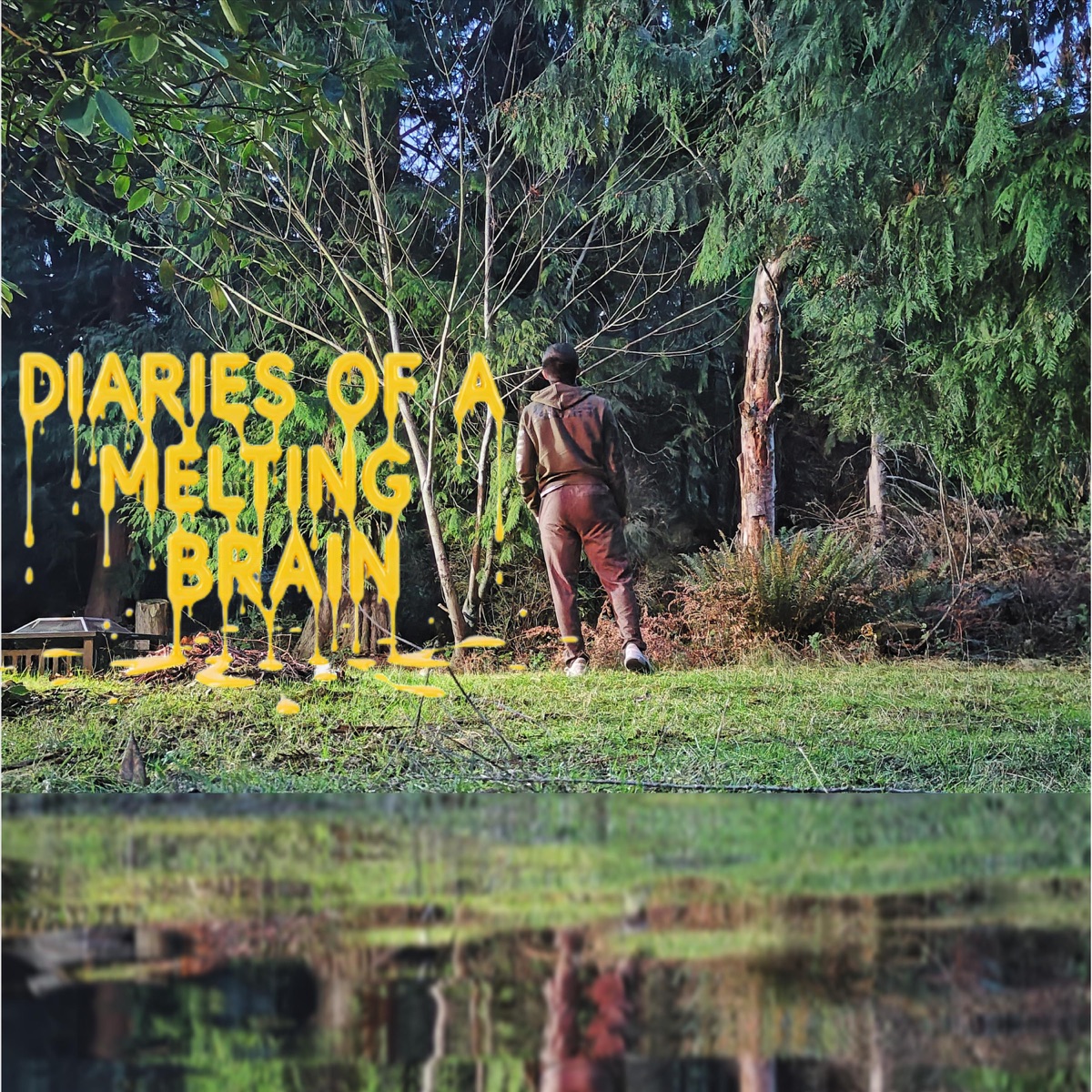 Diaries of a Melting Brain - EP by Smooth Tony album cover