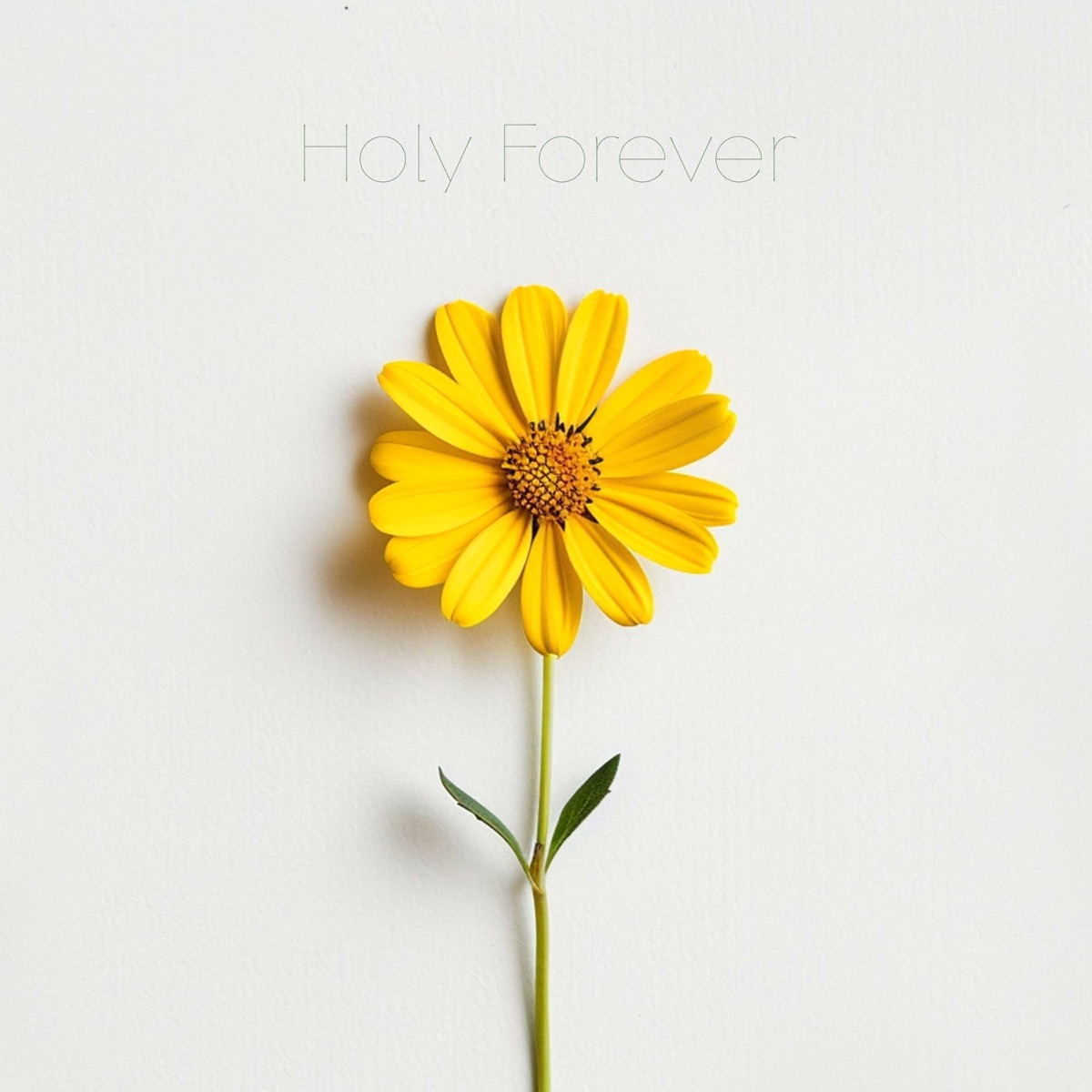 Holy Forever - Single by Anthem Worship, Genavieve Linkowski & Mass Anthem album cover
