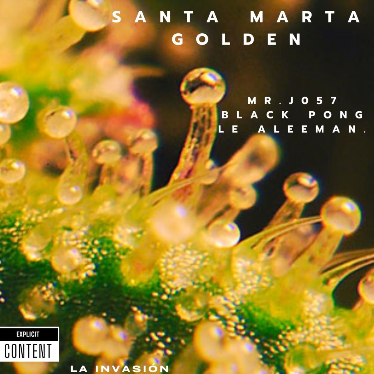 Santa Marta Golden (feat. Le Aleeman & Blvck Pong) - Single by MR.J 057 album cover