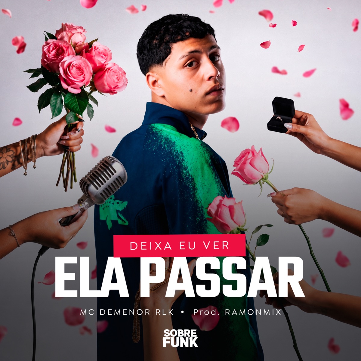 Deixa Eu Ver Ela Passar - Single by Mc Demenor RLK album cover