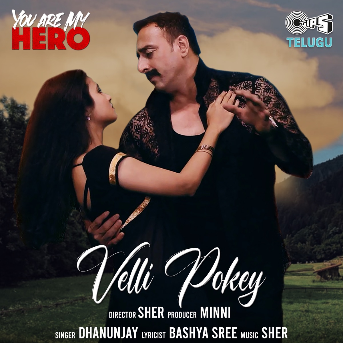 Velli Pokey (From "You Are My Hero") - Single by Dhanunjay, Sher & Bashya Sree album cover