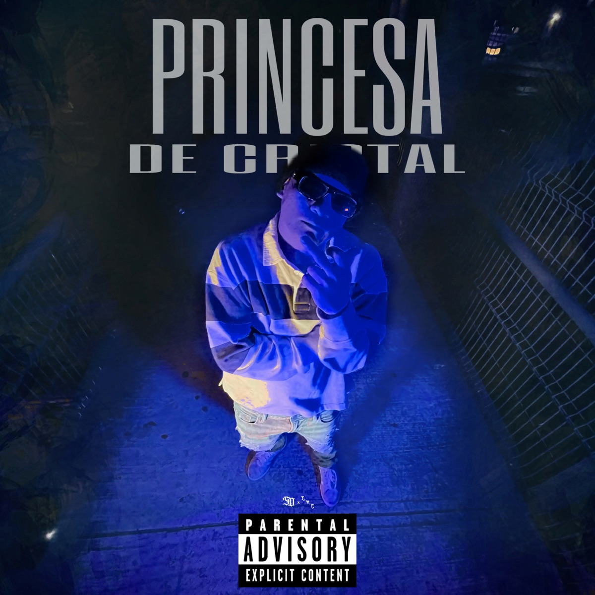 Princesa de Cristal - Single by Zombie LNC album cover