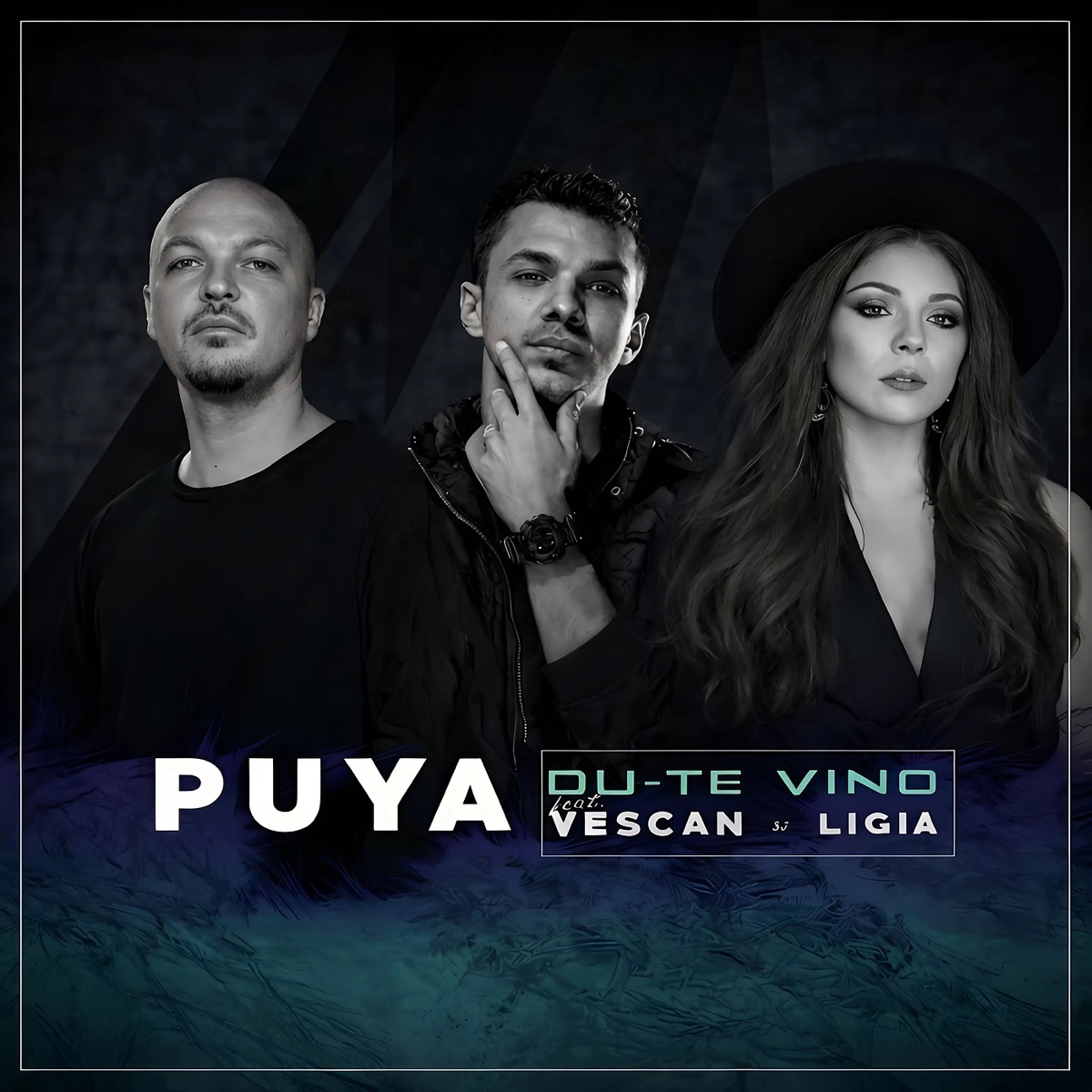 Du-Te, Vino (feat. Vescan & Ligia) - Single by Puya album cover