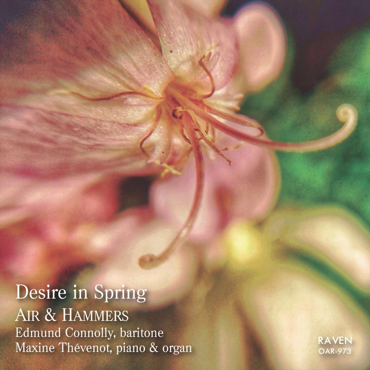 Desire in Spring by Edmund Connolly & Maxine Thévenot album cover