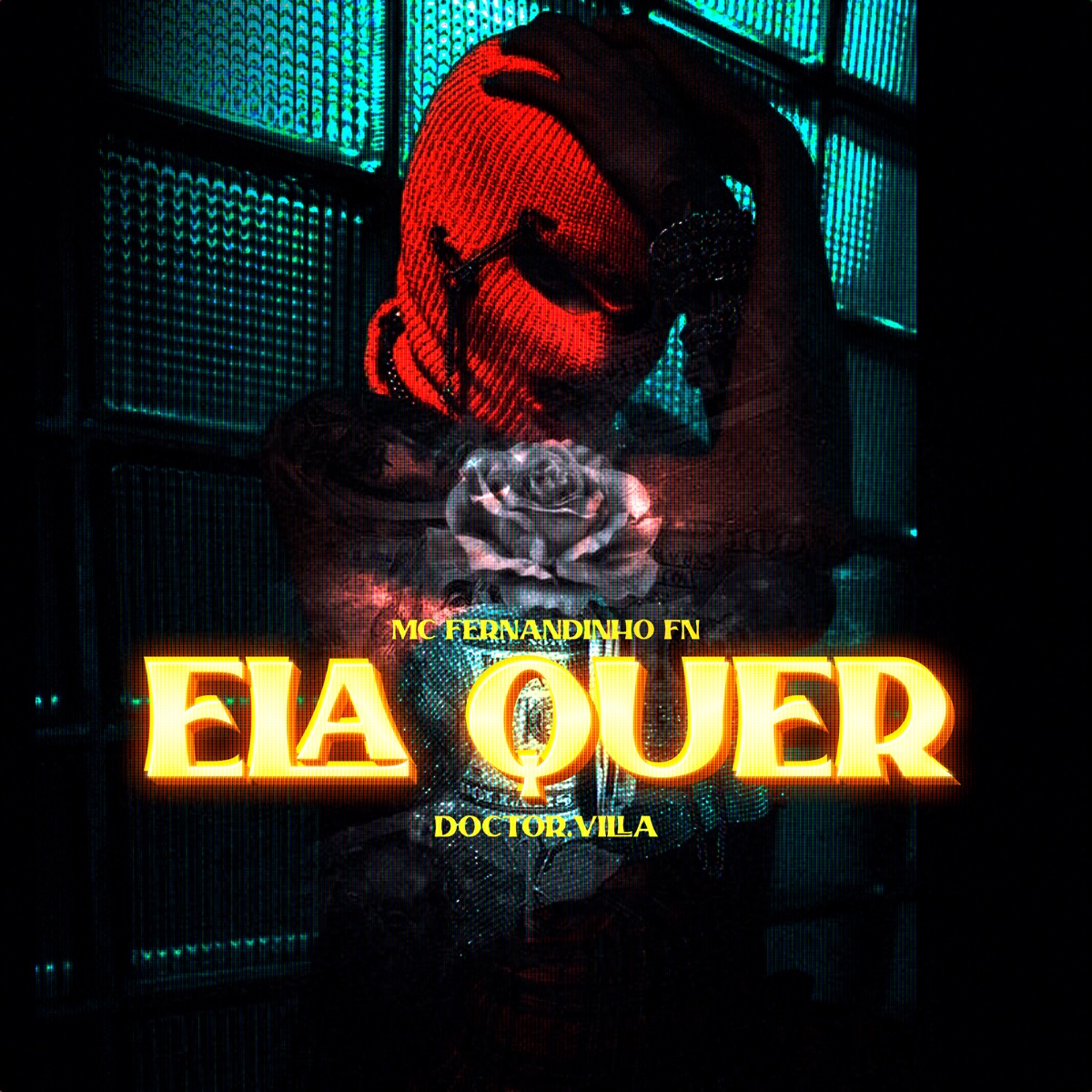Ela Quer - Single by MC FERNANDINHO FN & Doctor.Villa album cover