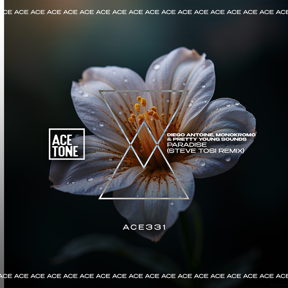 Paradise (Steve Tosi Remix) - Single by Diego Antoine, Monokromo & Pretty Young Sounds album cover