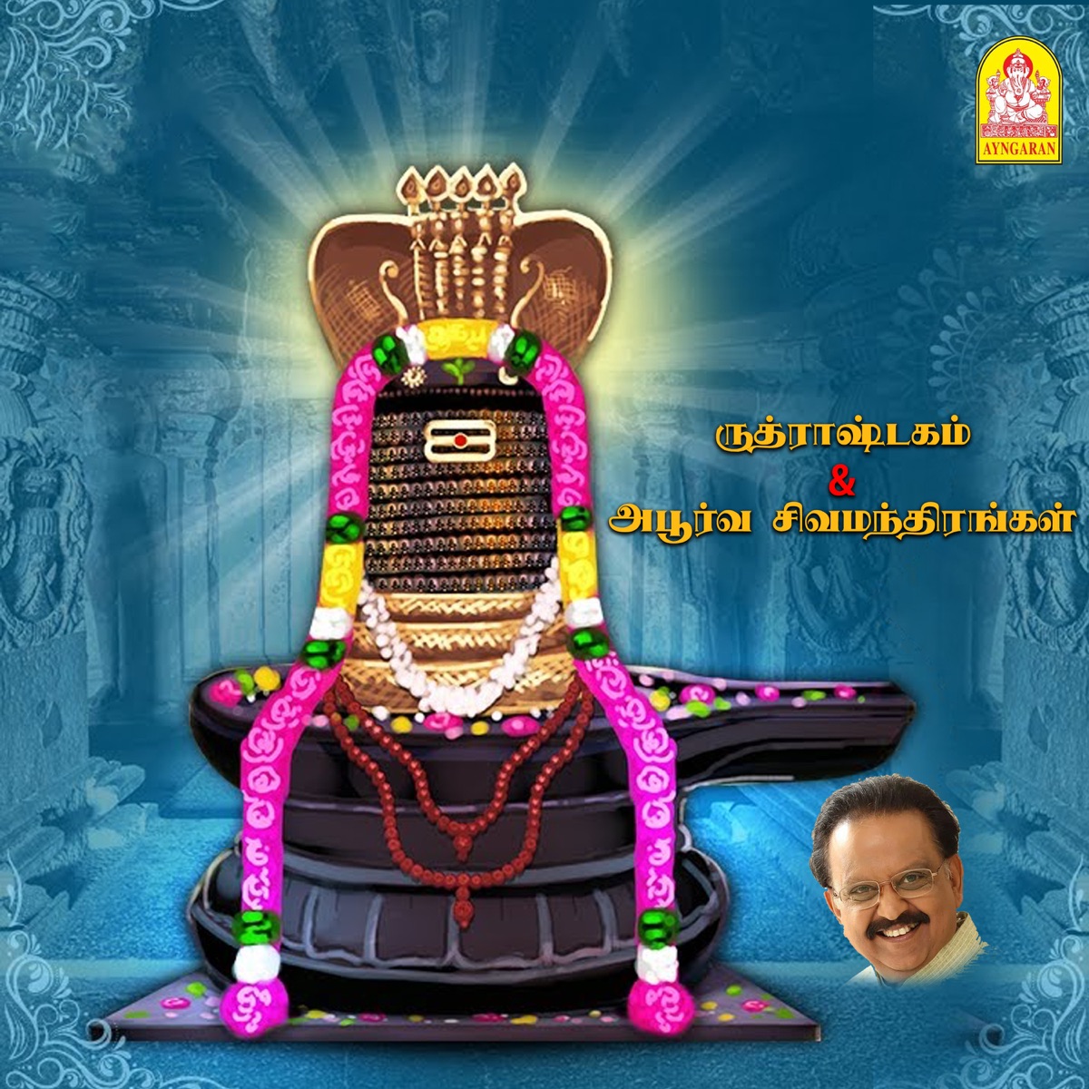 Ruthraasdaham by Ms. Srinidhi, Sage Vasishta, Sankaracharya & Tulsidas album cover