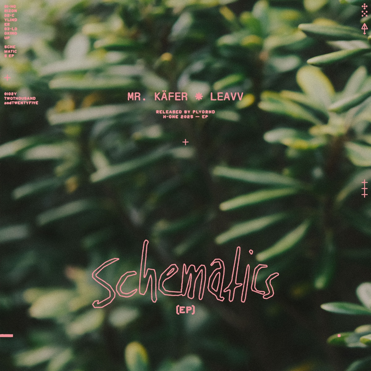 Schematics by Mr. Käfer & Leavv album cover