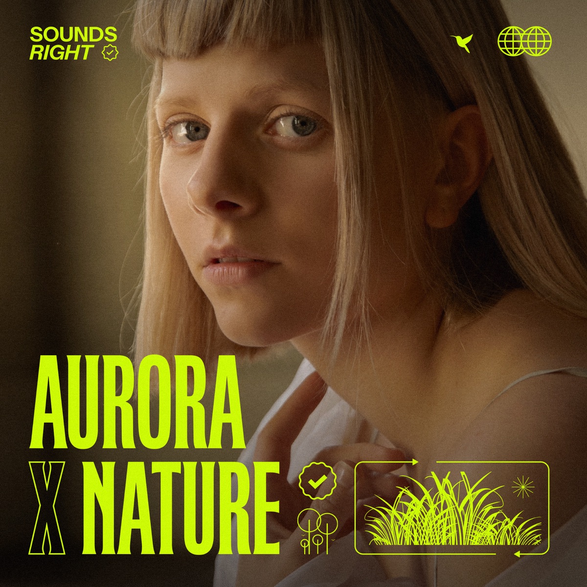 A Soul With No King - Single by NATURE & AURORA album cover