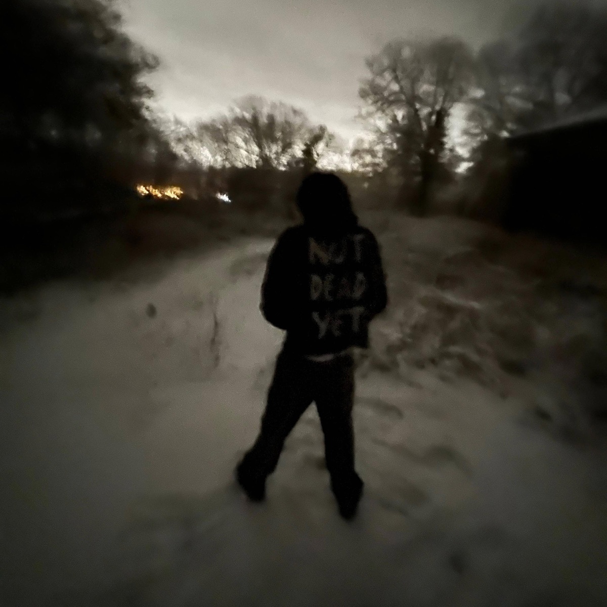 DECEMBER 8 - Single by Nicktucker album cover