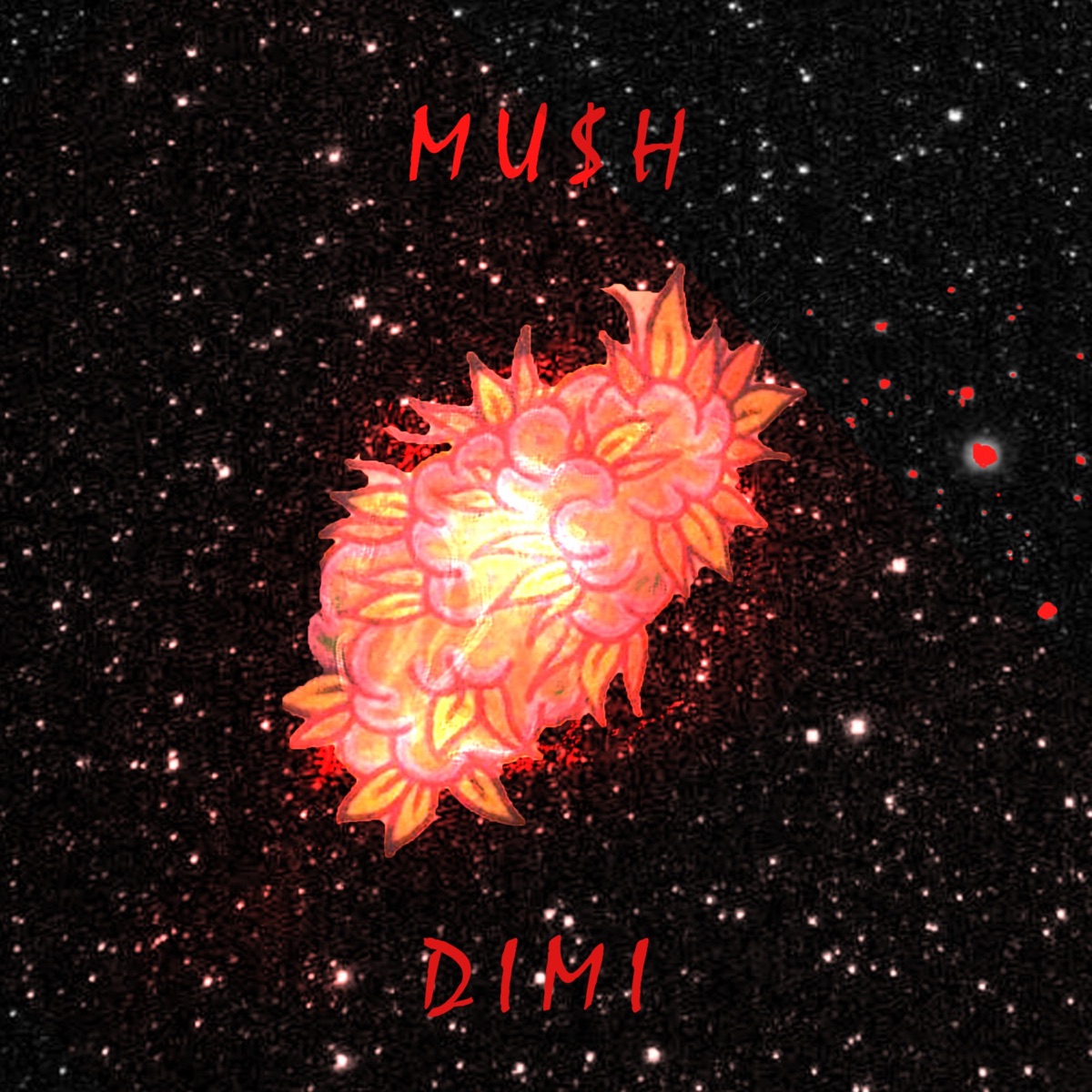 MU$H - Single by DIMI album cover