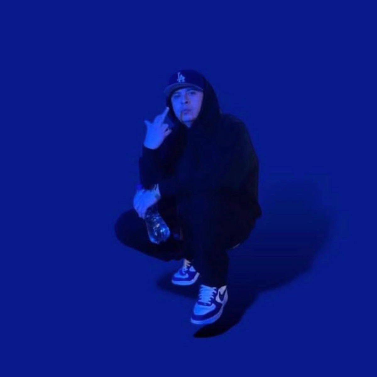 Perro Bravo - Single by Pechas 821 album cover