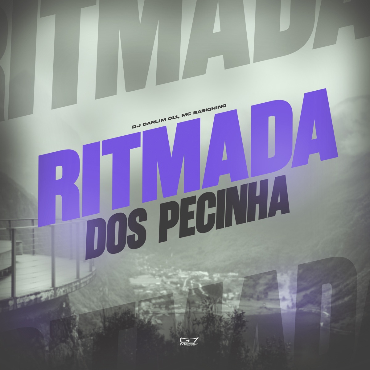 Ritmada dos Pecinha (feat. MC BASIQHINO) - Single by dj carlim 011 album cover