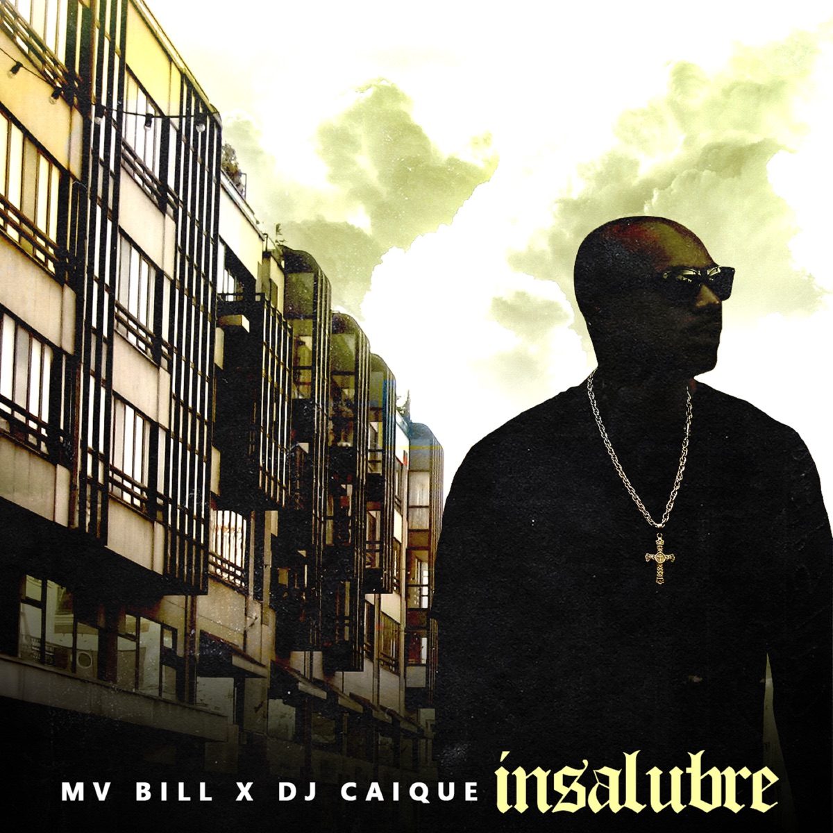 Insalubre - Single by DJ Caique & MV Bill album cover