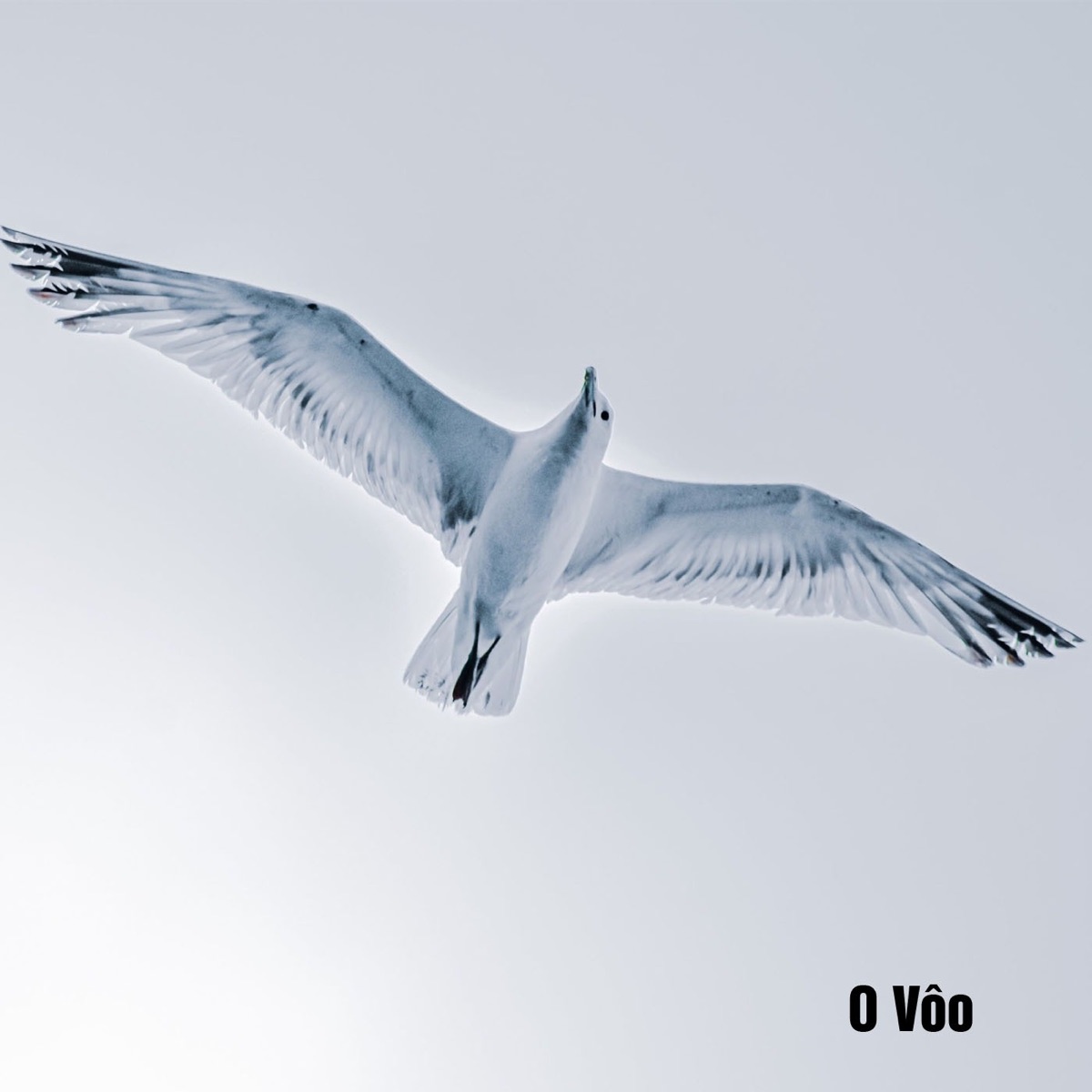 O Vôo - Single by DJ Felix album cover