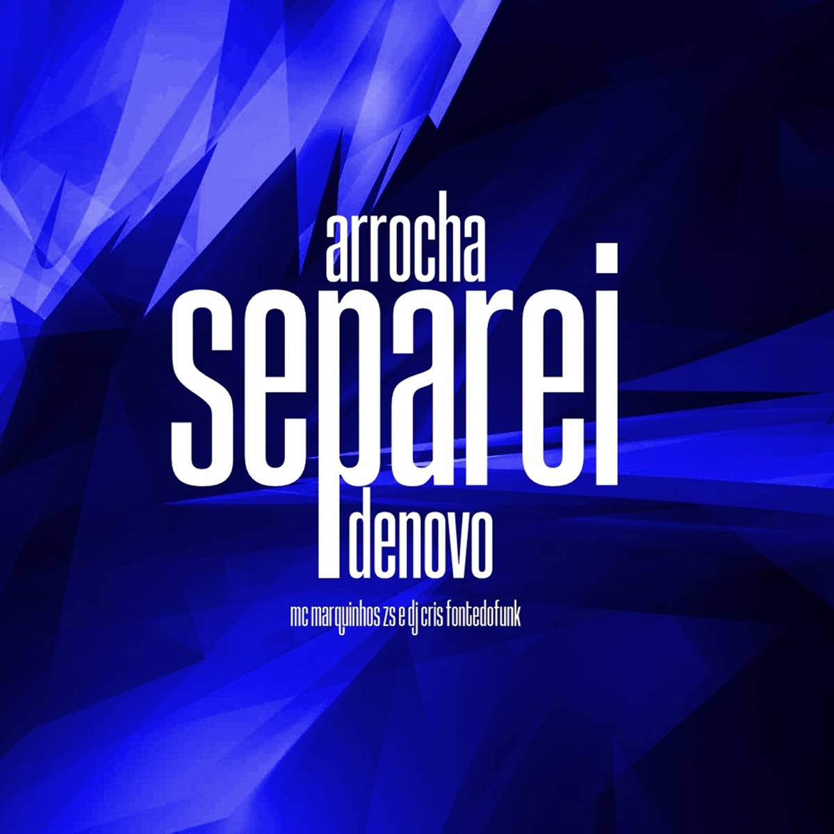 Arrocha Separei Denovo - Single by DJ Cris Fontedofunk & MC Marquinhos ZS album cover
