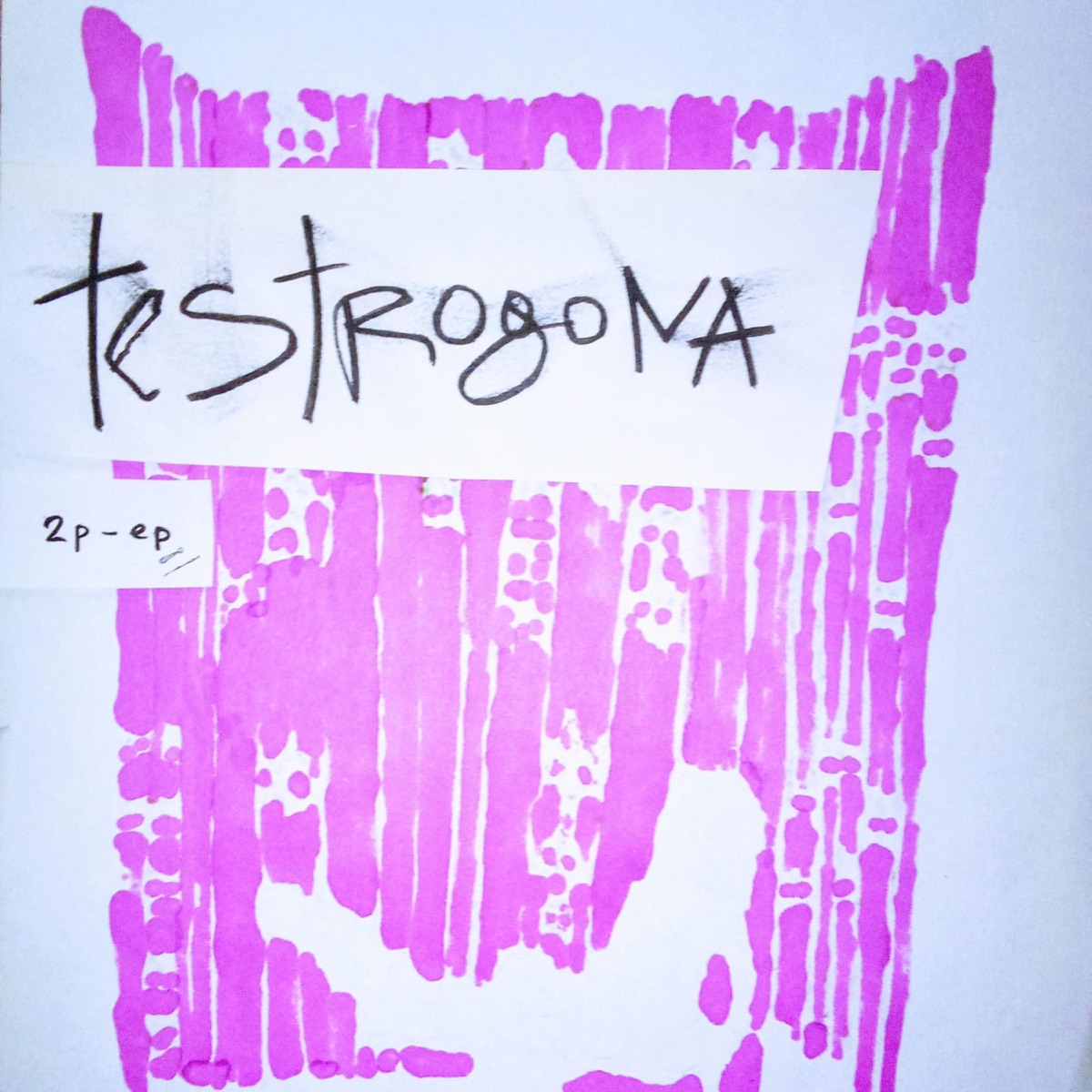 2p - EP by Testrogona album cover