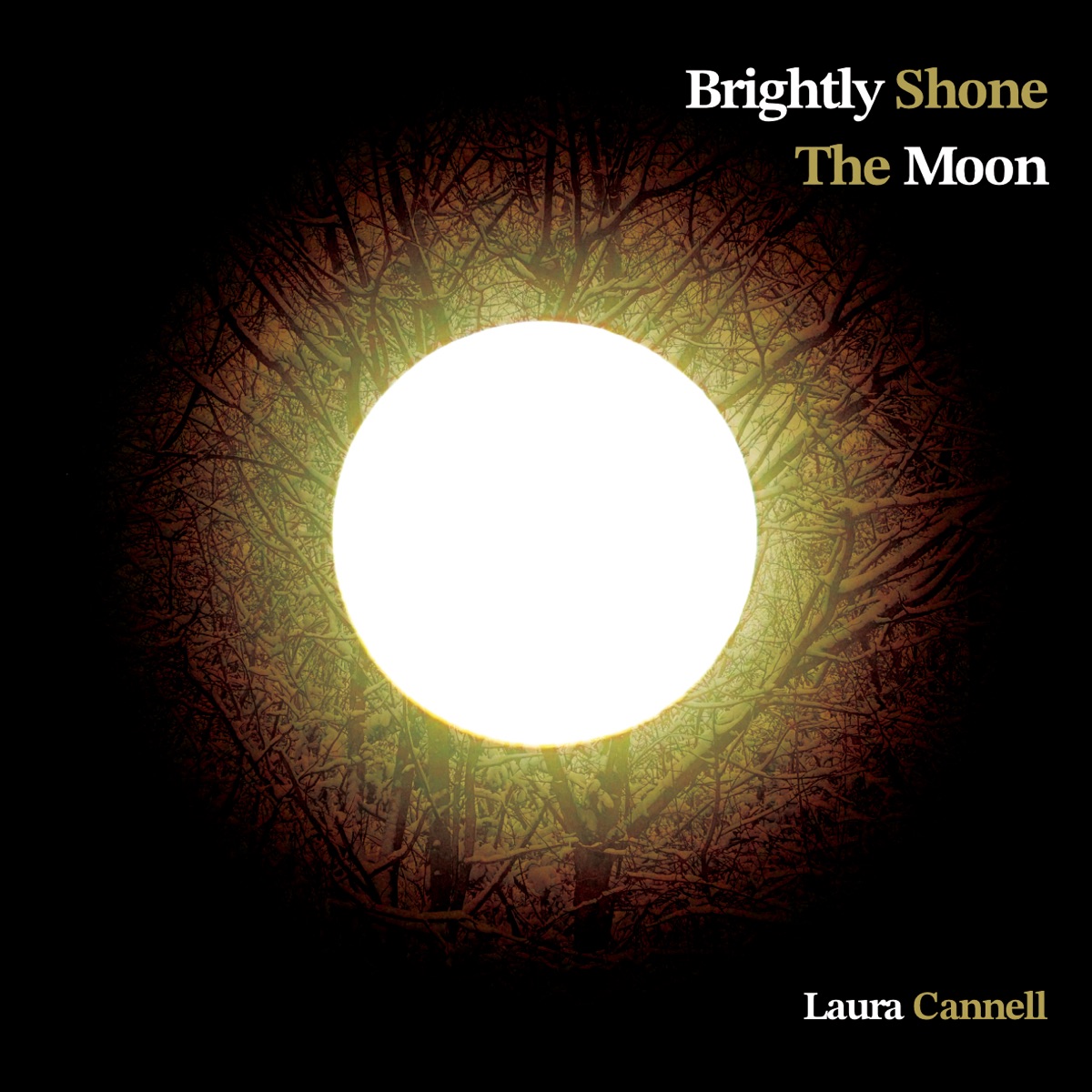 Brightly Shone the Moon by Laura Cannell album cover