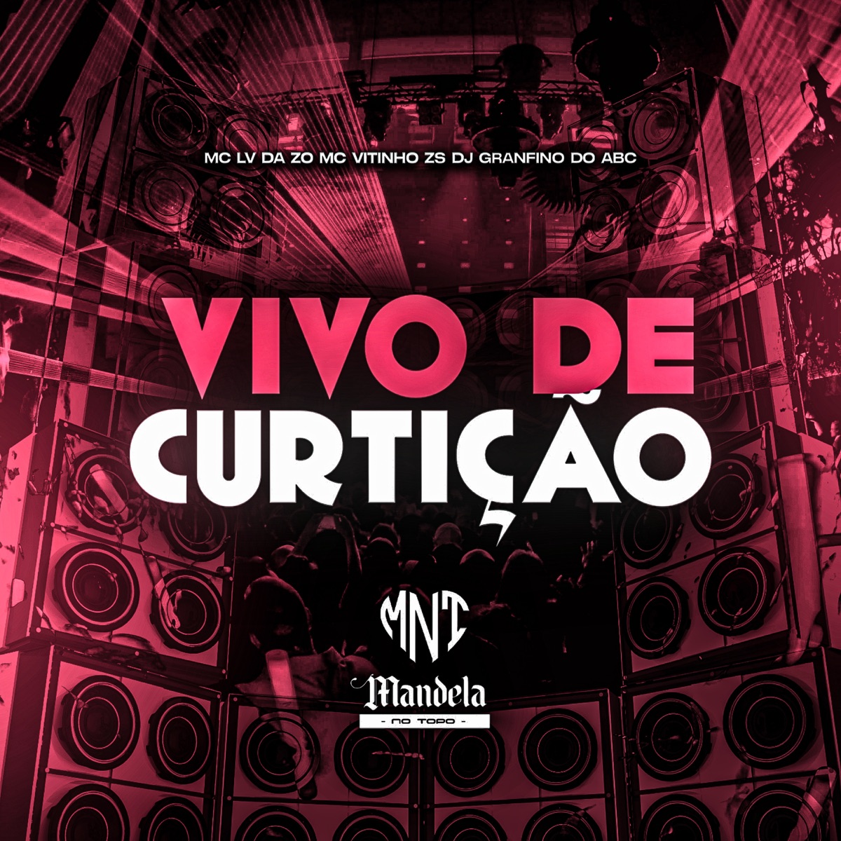 Vivo de Curtição (feat. Mc Vitinho ZS & Mc Lv Da Zo) - Single by DJ Granfino Do ABC album cover