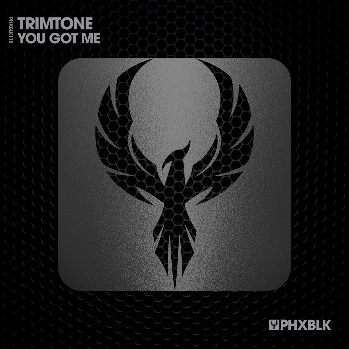 You Got Me - Single by Trimtone album cover