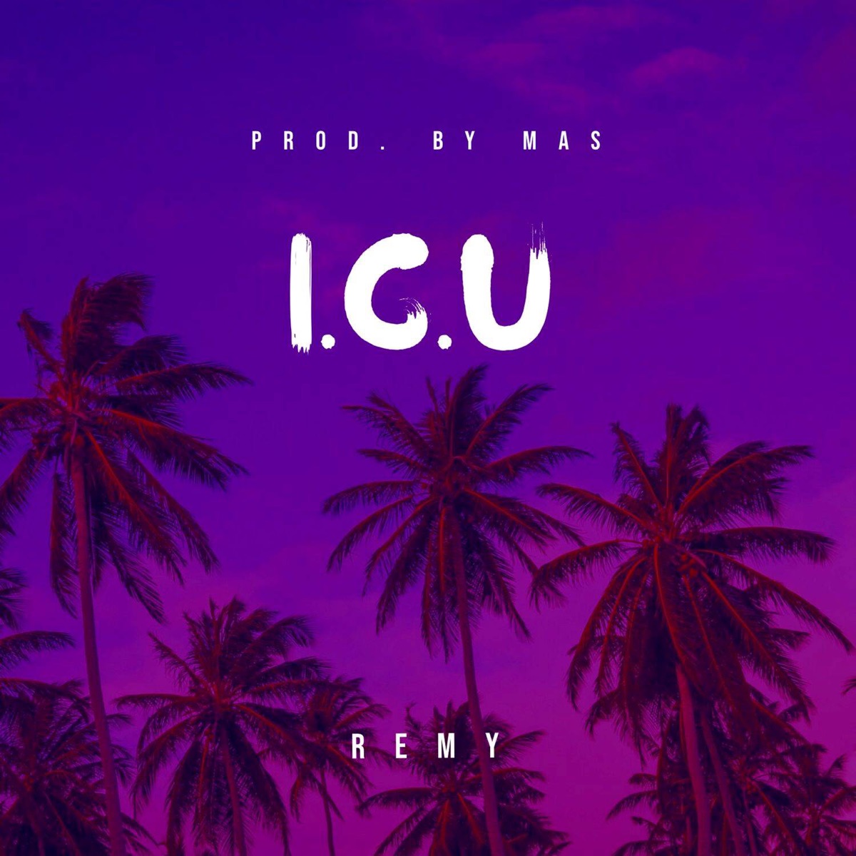 I.C.U - Single by Remy album cover