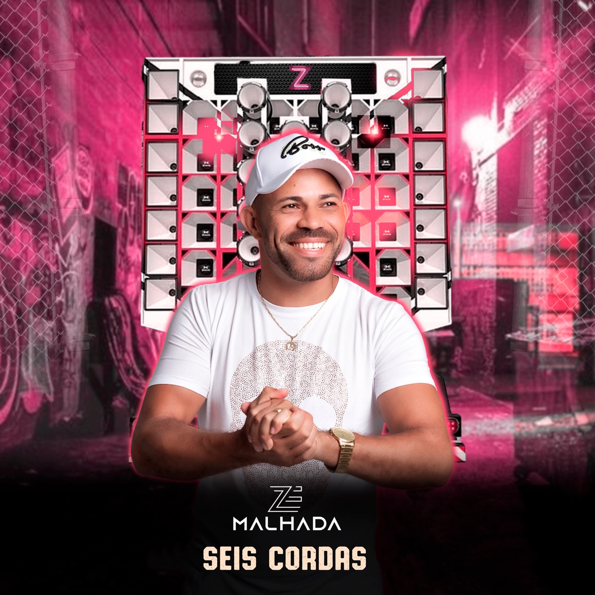 Seis Cordas - Single by Zé Malhada album cover
