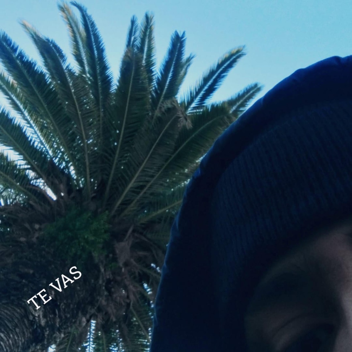 Te Vas - Single by JOADUKE album cover