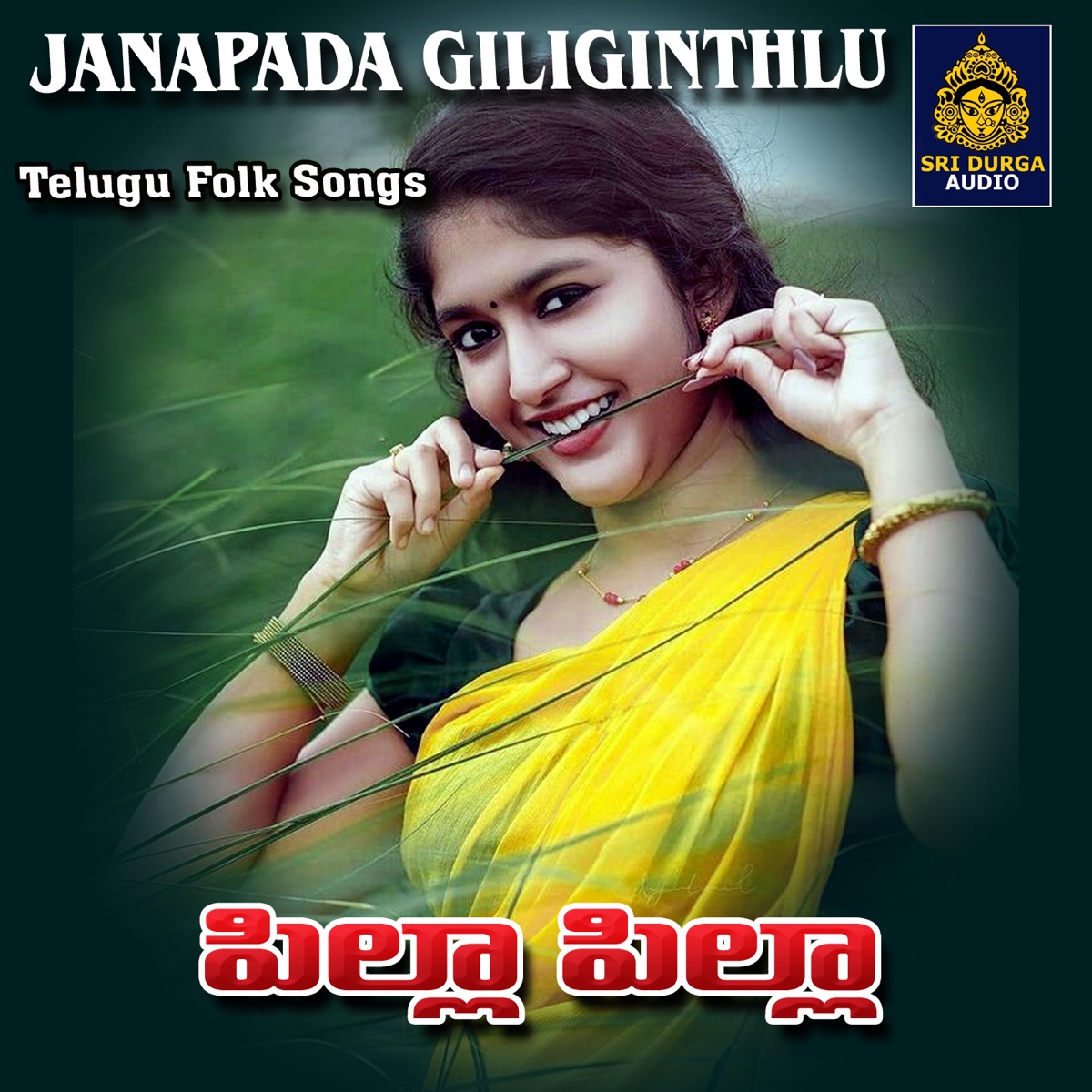 PILLA PILLA - Single by Warangal Shankar album cover