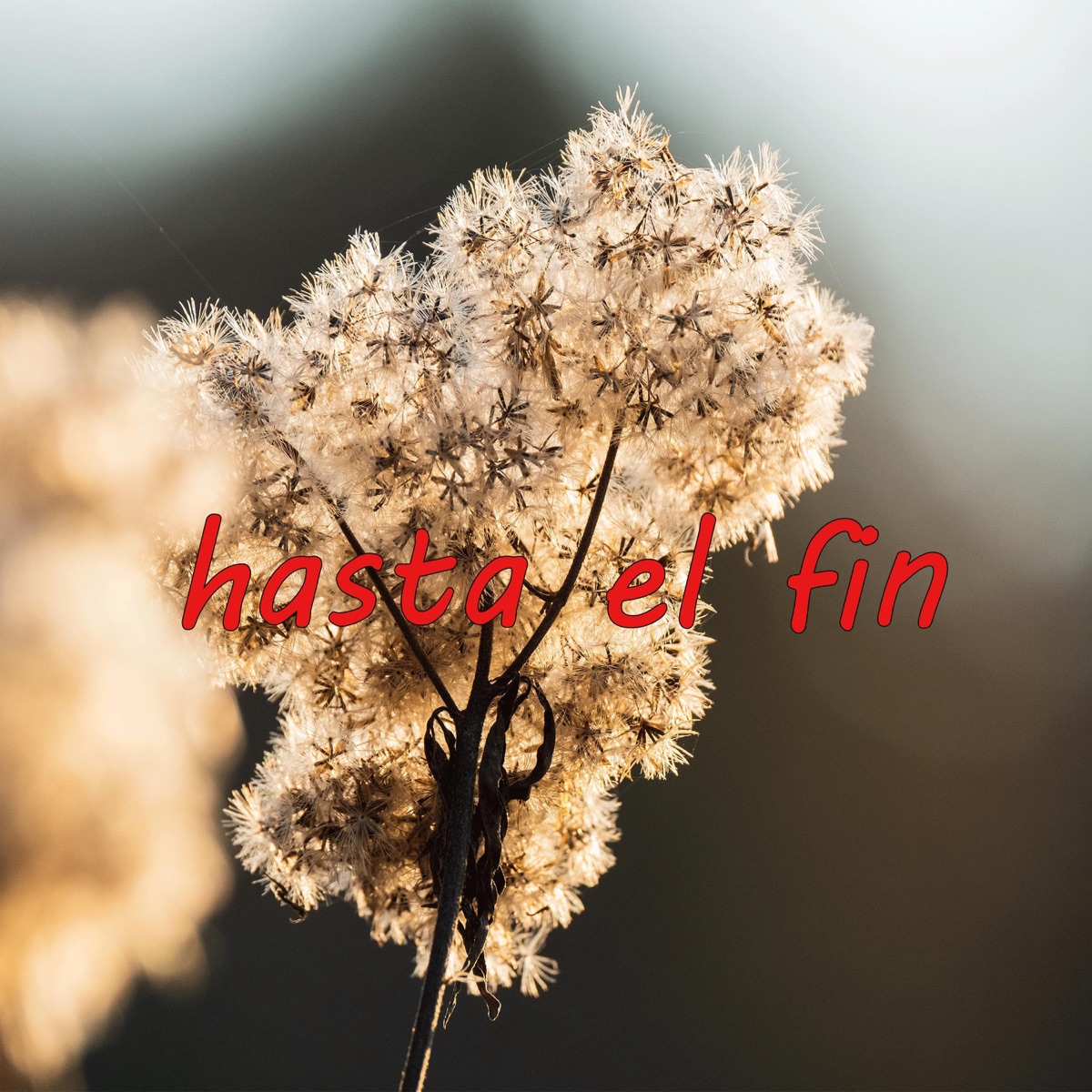 hasta el fin de mundo - Single by sebastian mikel album cover