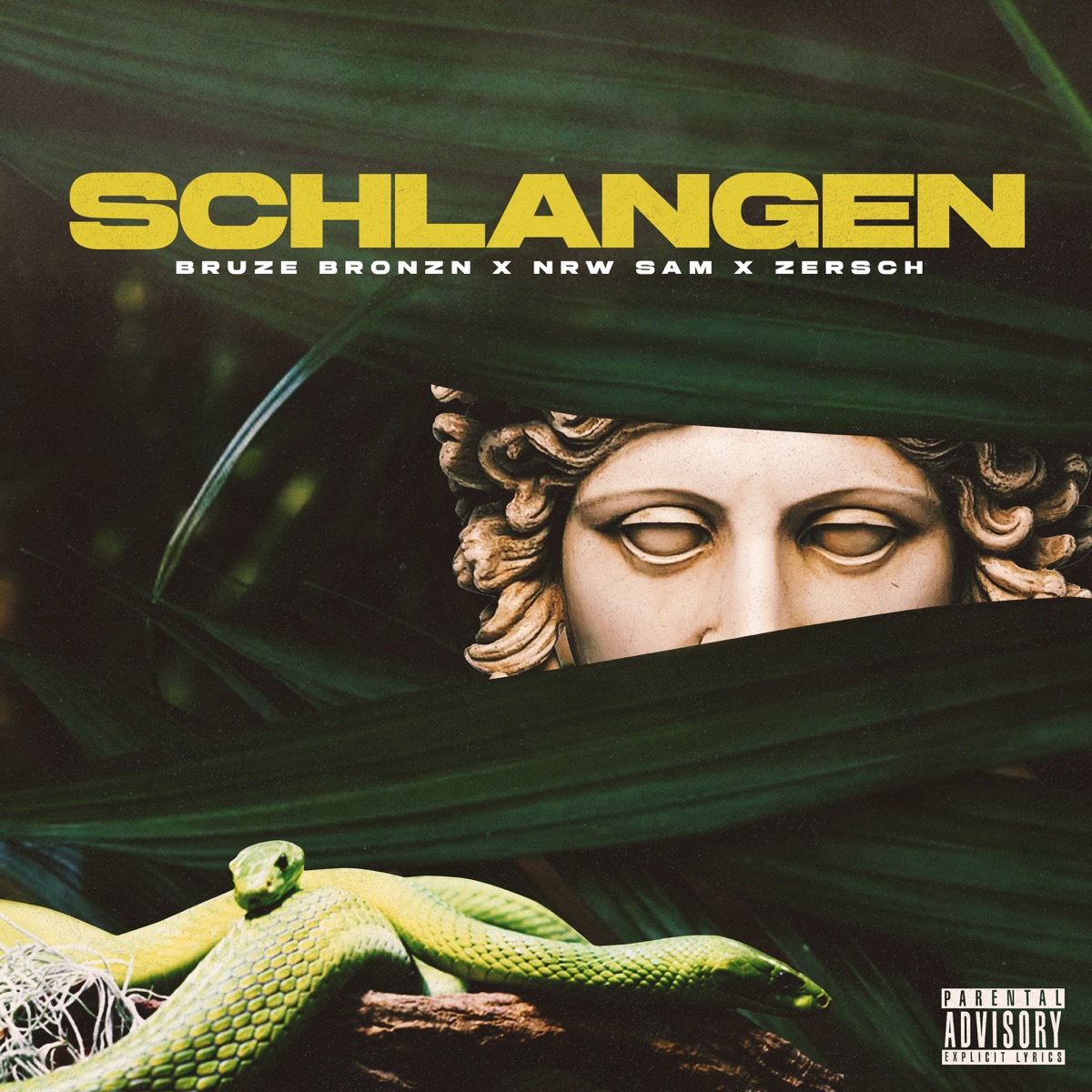 Schlangen (feat. Bronzn & Die Gang) - Single by Bruze Bronzn, NRW Sam & Zersch album cover