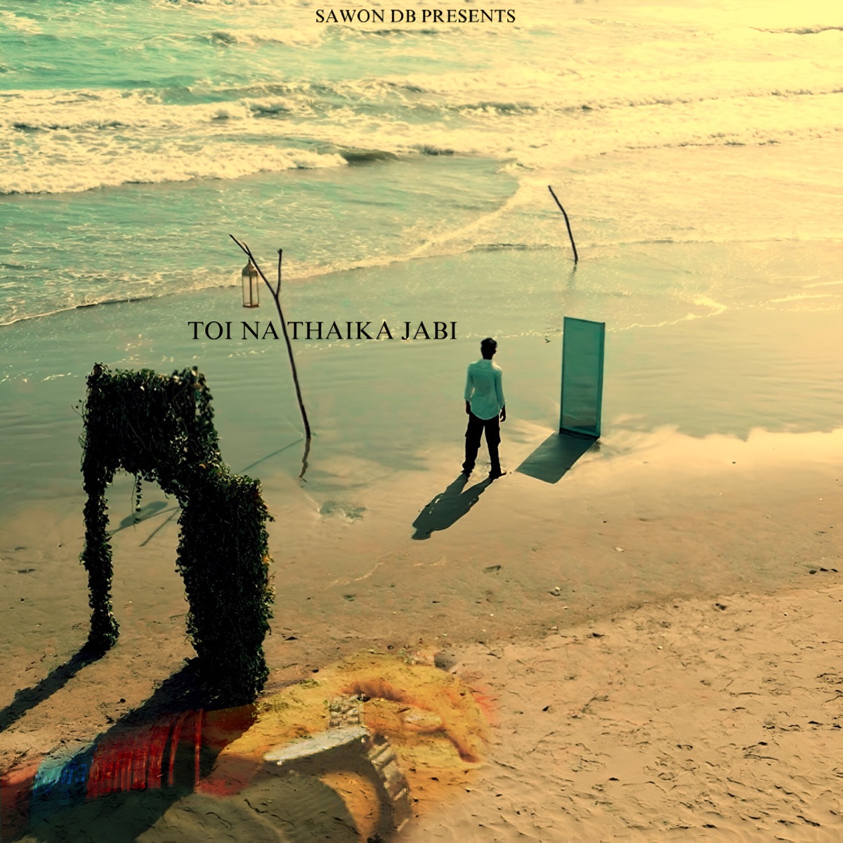 Tui Na Thaka Jabi Jonom Vor - Single by SAWON DB album cover