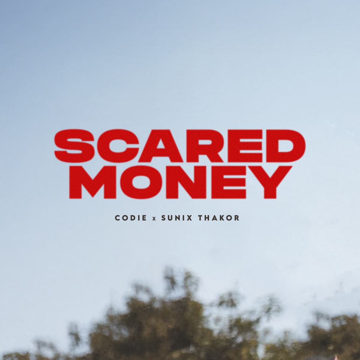 Scared Money (Ins) - Single by Sunix Thakor & Codie album cover