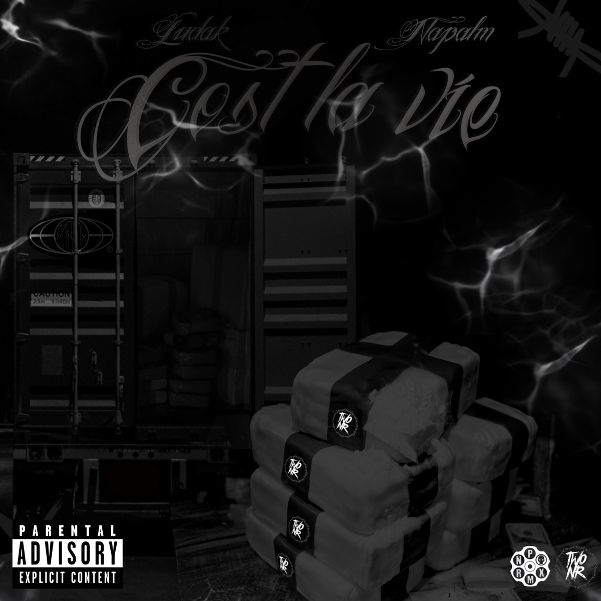 CEST LA VIE - Single by LUDAK, NAPALM & Greedy album cover