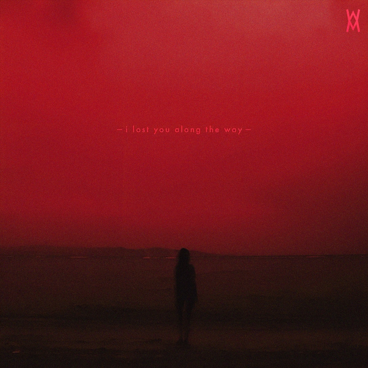 i lost you along the way (slowed versions) - Single by Meltone album cover