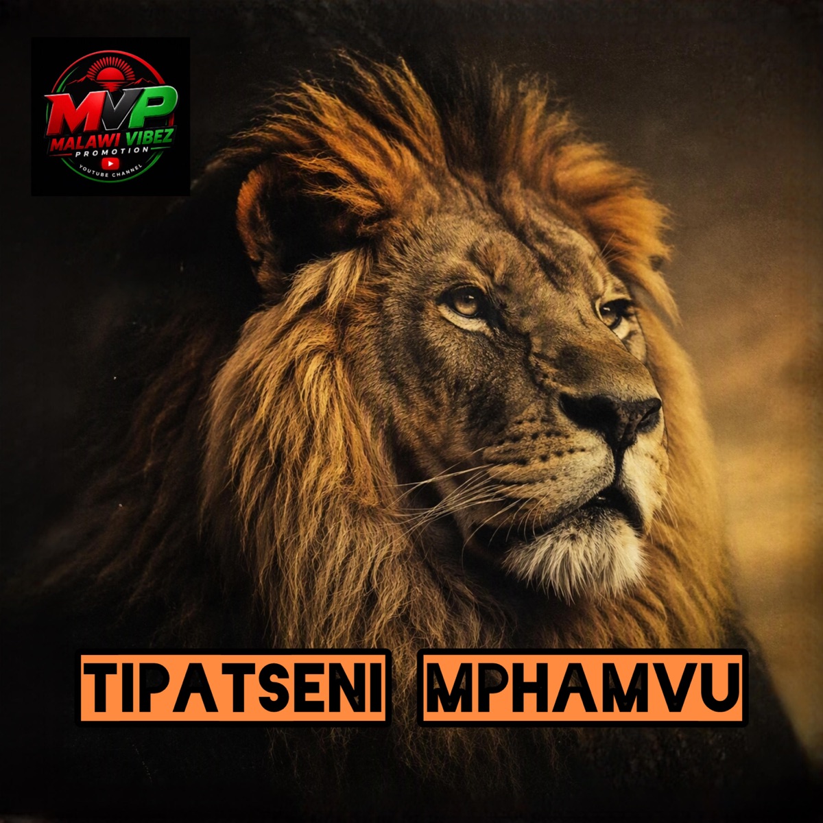 Tipatseni Mphamvu - Single by Malawi Vibez Promotion album cover
